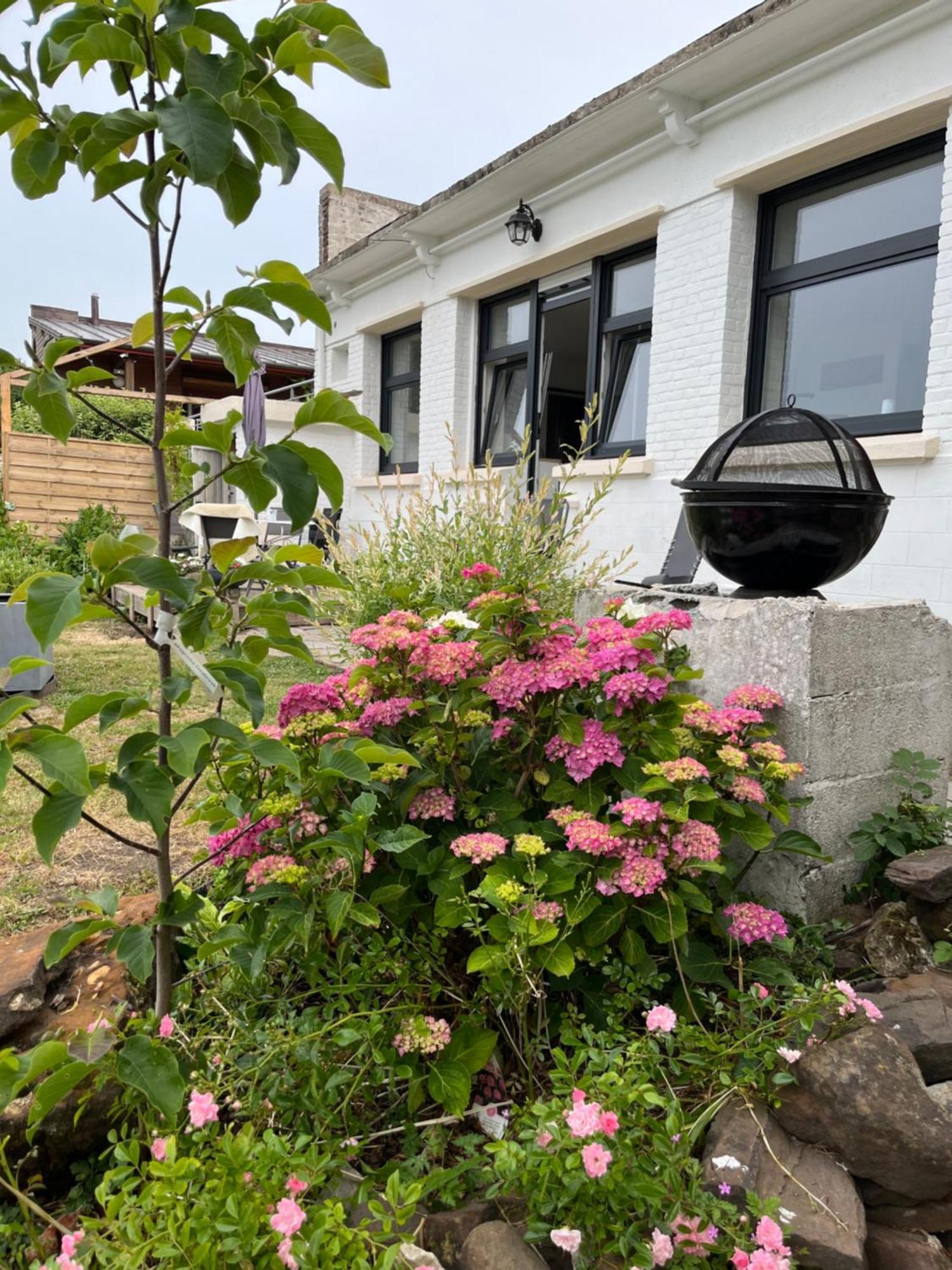 Le Petit Paradis Cassel Exterior photo